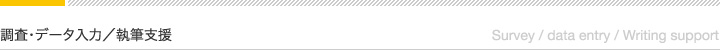 調査・データ入力／執筆支援